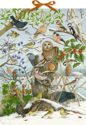 Coppenrath Unsere Vögel im Winter Sound-Adventskalender (95250)