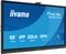 iiyama ProLite TE5513A-B3AG, 54.6" Vorschaubild