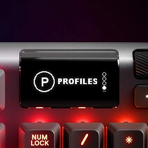 SteelSeries Apex 5, USB, DE