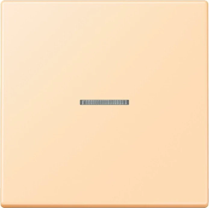 Jung HOME Taster 1-fach, ocre