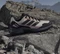 adidas Terrex Eastrail 3 Climaproof wonder white/core black/dual lilac (Damen) Vorschaubild