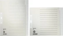 Leitz Register Blanko A4, grau