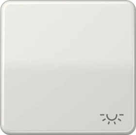 Jung Serie CD Wippe Duroplast mit Symbol "Licht", lichtgrau