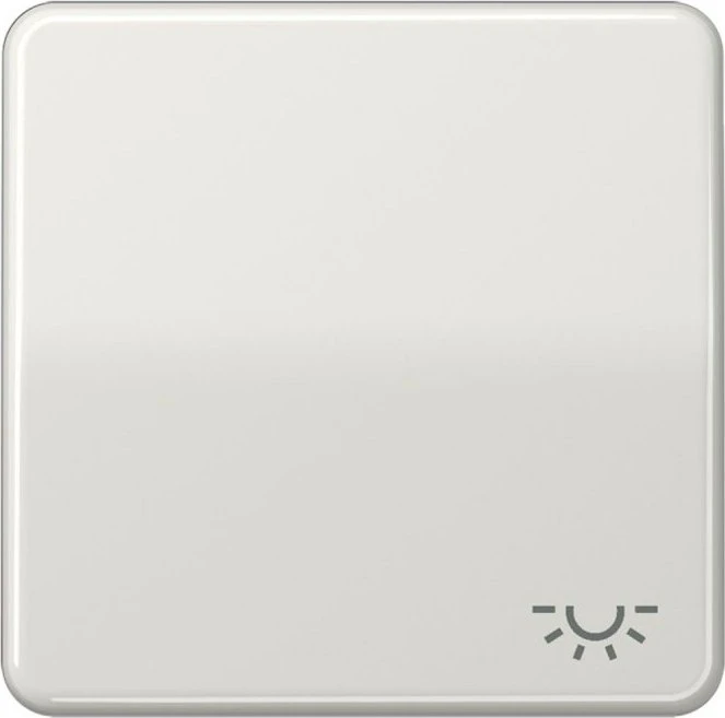 Jung Serie CD Wippe Duroplast mit Symbol "Licht", lichtgrau