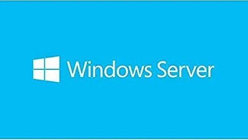 Microsoft Windows Server 2019, 1 User CAL (deutsch) (PC)