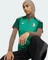 adidas FIFA WM 2026 Algerien Auswärtstrikot kurzarm court green (Damen) Vorschaubild