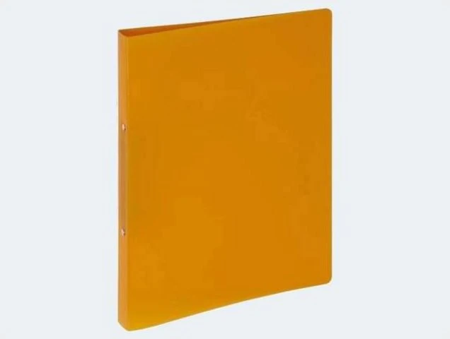 Pagna Ringbuch PP A4 16mm
