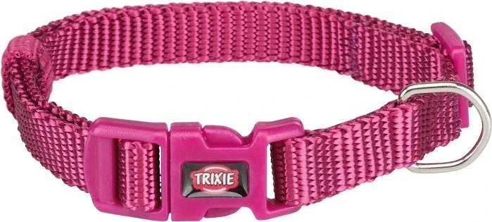 L-XL, Fuchsia