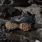 adidas Terrex Skychaser Mid GTX cardboard/core black/preloved teal (Herren) Vorschaubild