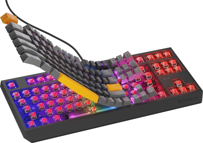Genesis Thor 230 TKL, Anchor Gray Positive, LEDs RGB, hot-swap, Outemu Red, USB, US