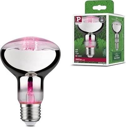 Paulmann Filament LED Reflektor Grow Green Pflanzenlampe E27 6.5W/813 R80