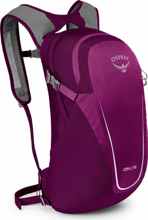 Osprey Daylite Plus 20 eggplant purple