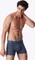 Schiesser 95/5 Multipack Boxer Briefs sortiert (Herren) Vorschaubild