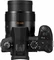 Panasonic Lumix DC-FZ1000 II Vorschaubild