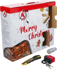 BGS technic DIY Adventskalender