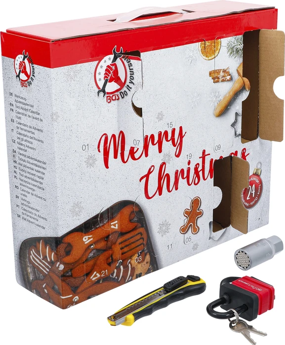 BGS technic DIY Adventskalender