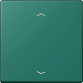 Jung Wippe 1-fach, vert anglais