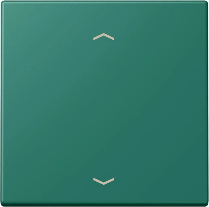 Jung Wippe 1-fach, vert anglais