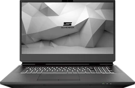 Schenker DTR 17-E21, Core i7-11700K, 16GB RAM, 500GB SSD, GeForce RTX 3080, DE (11000189)