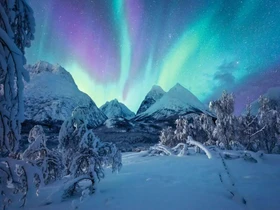 Ravensburger Puzzle Wenn die Nordlichter tanzen