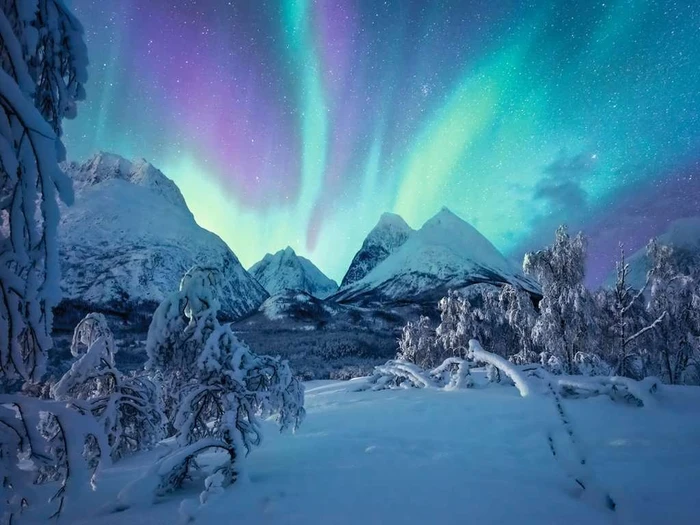 Ravensburger Puzzle Wenn die Nordlichter tanzen