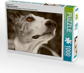 Calvendo Ein Motiv aus dem Kalender Galgo eye-catcher