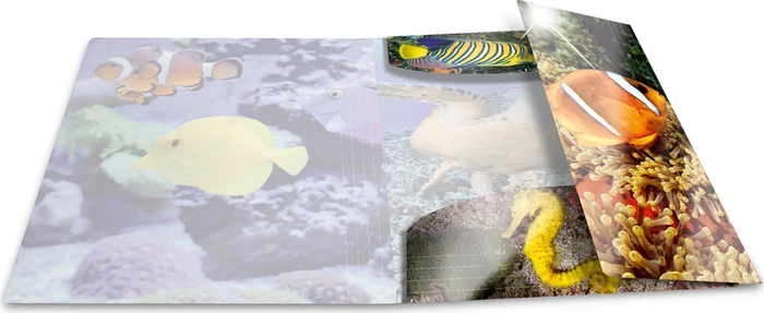 Herma Glossy Tiere Sammelmappe, A4, Fische