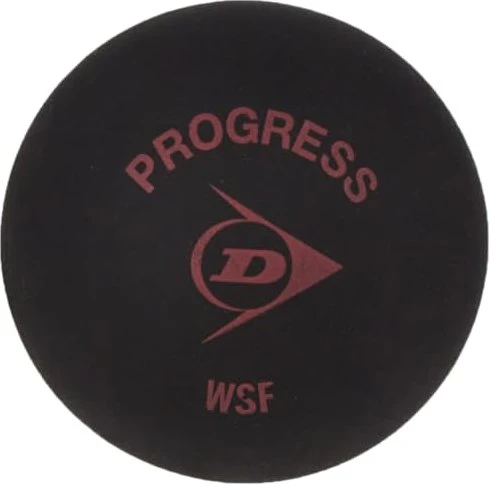 Dunlop Squashball Progress