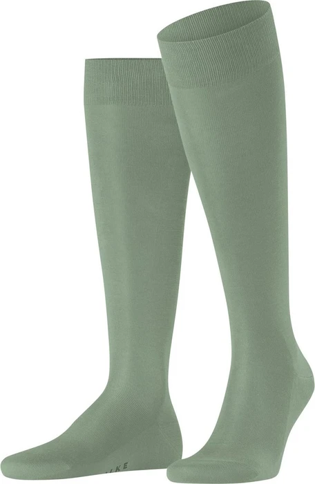 Falke Tiago Socken grass (Herren)