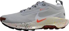 Nike Pegasus pure platinum/football grey/pink foam/white (Damen)