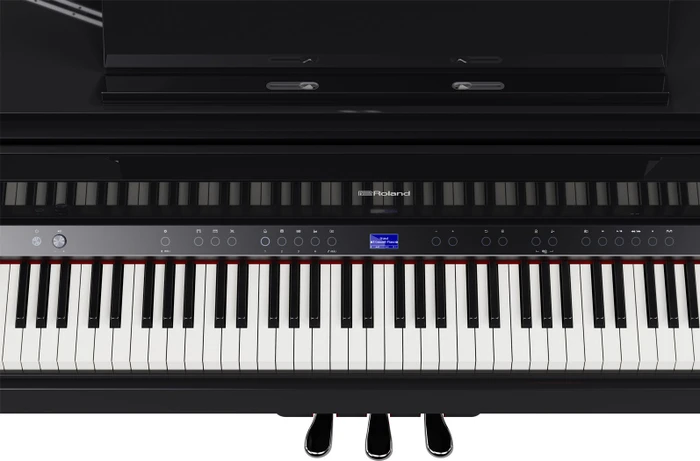Roland GP-9 schwarz