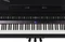 Roland GP-9 schwarz Vorschaubild