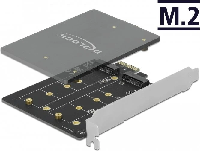 DeLOCK 2x M.2 SATA, PCIe 3.0 x1