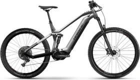 Haibike AllTrail 7 platinum/black (HLGR1)