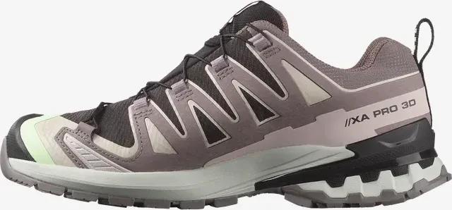 Salomon XA Pro 3D V9 GTX black/patina green/gray violet (Damen)