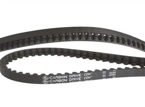 Gates CDN Riemen 113 Zähne/1243mm