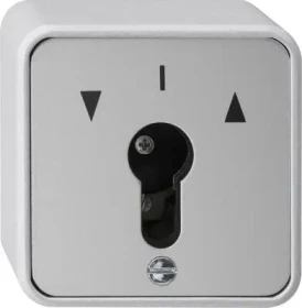 Gira Schlüsseltaster 10AX 250V für alle DIN-Profilhalbzylinder, grau
