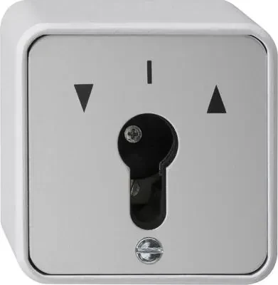 Gira Schlüsseltaster 10AX 250V für alle DIN-Profilhalbzylinder, grau