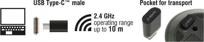 DeLOCK Wireless USB-C Mini Maus schwarz, USB-C