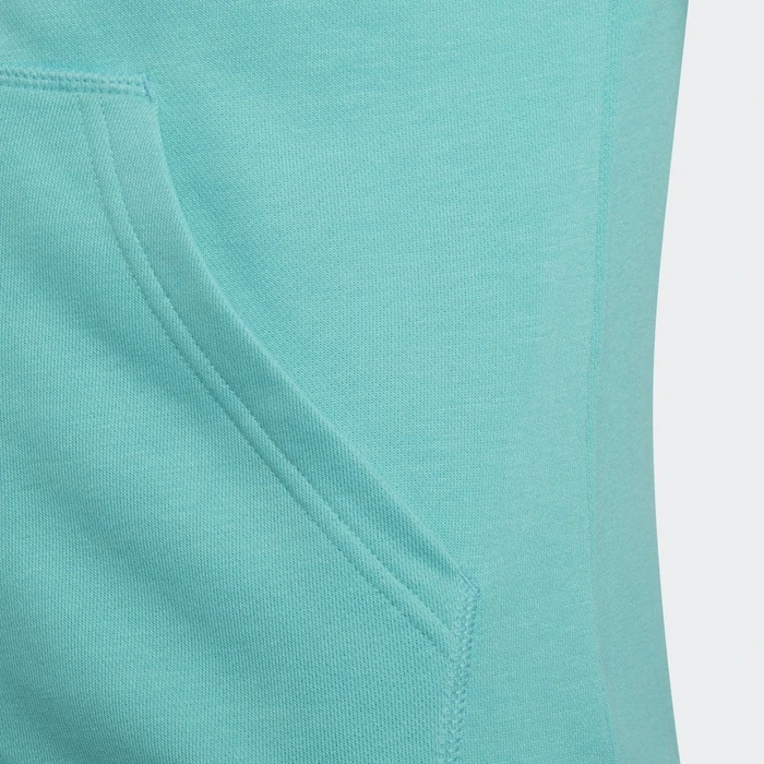adidas Essentials Hoodie semi mint rush/black (Junior)