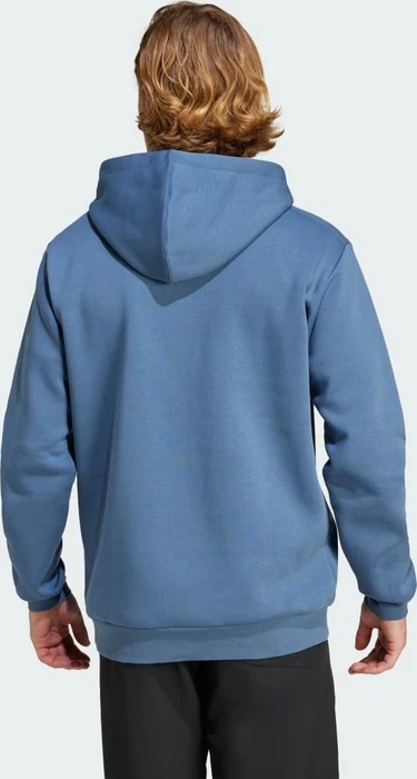adidas Terrex Multi Large Logo Hoodie wonder steel (Herren)