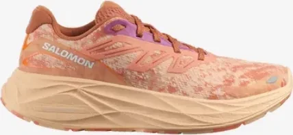Salomon Aero Glide 2 spice route/peach quartz/fresh salmon (Damen)
