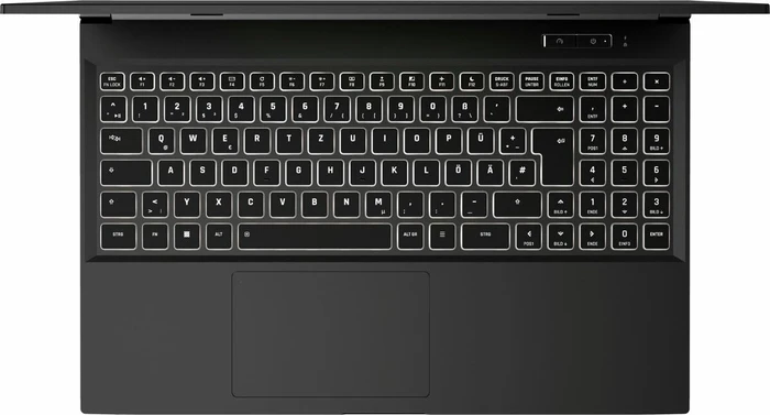 Schenker XMG Core 15-E20, Core i7-10750H, 8GB RAM, 250GB SSD, GeForce GTX 1650 Ti, DE