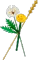 LEGO Botanicals - Feldblumen Vorschaubild