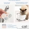 Catit Ersatzfilter für PIXI Trinkbrunnen, 3er-Pack Vorschaubild