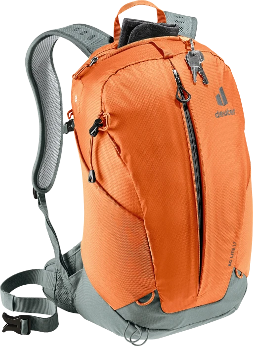 Deuter AC Lite 17 chestnut/teal
