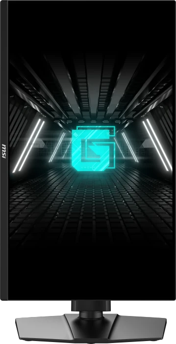 MSI G255PFDE E2, 24.5"