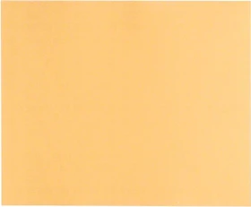 Bosch Professional C470 Best for Wood and Paint Schleifblatt K80, 230x280mm, 1 Stück