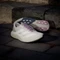 adidas Adizero Evo SL H.Koumori putty grey/alumina/shadow fig (Damen) Vorschaubild