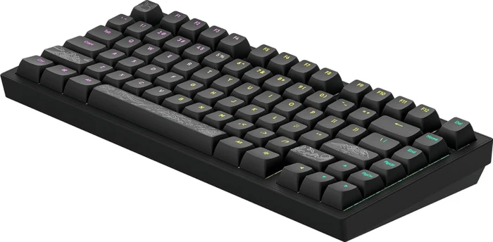 Dark Project ALU81A Terra Nostra Gaming Keyboard, schwarz, LEDs RGB, g3ms Moonstone, USB, US